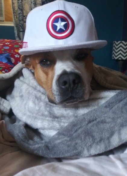 Meet your Posher, Nicole - Picture 4 of 4